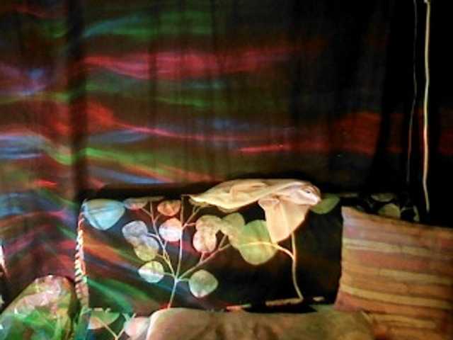 Live sex webcam photo for wildkimts #289965079