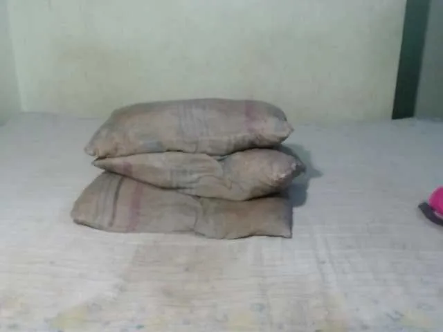 Live sex webcam photo for wonderdiana #273401598