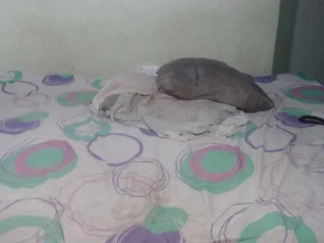 Live sex webcam photo for wonderdiana #273853644