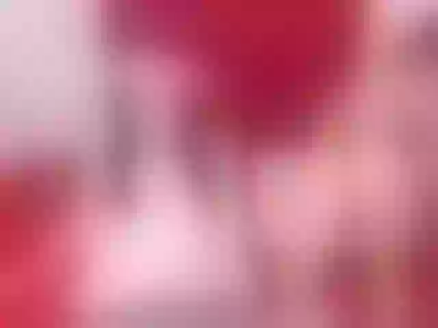 Live sex webcam photo for wondergirls6 #272970646