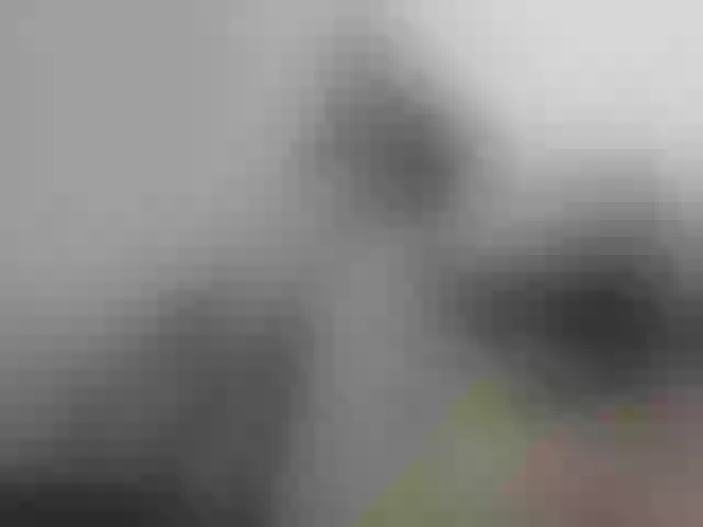 Live sex webcam photo for wow-mistress #292237568