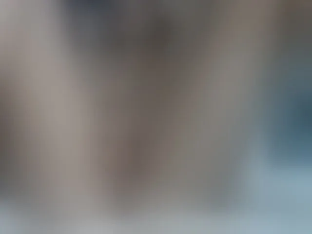 Live sex webcam photo for wowLILIwow #274260387