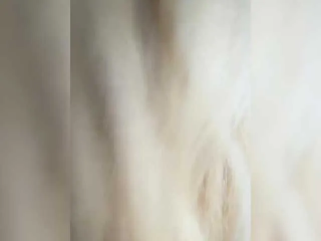 Live sex webcam photo for x-NaStyA-x #292260145