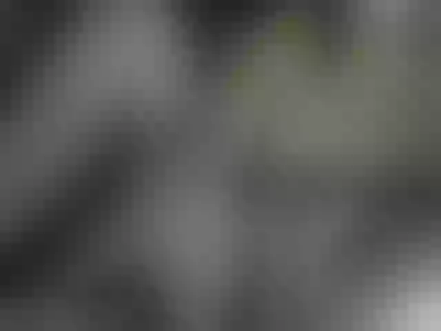 Live sex webcam photo for xlorax777 #273387127