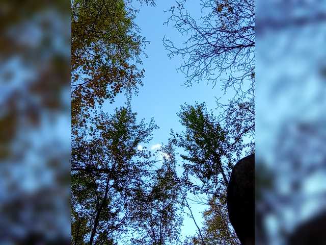 Live sex webcam photo for xxxtop878 #291866318