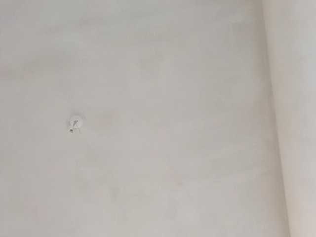 Live sex webcam photo for xxxtop878 #292093998