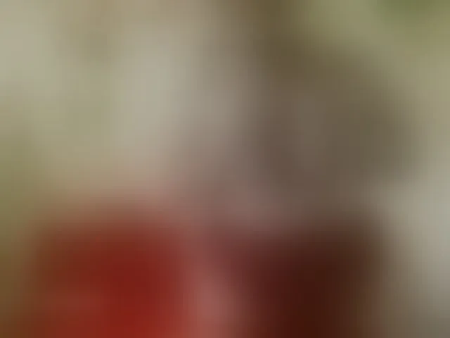 Live sex webcam photo for yakameliya #294252804
