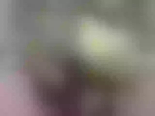 Live sex webcam photo for yeyecandy #290494783