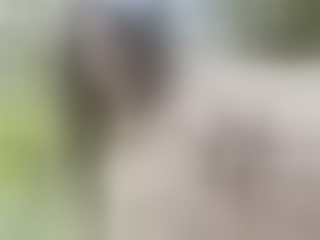 Live sex webcam photo for your-red-wine