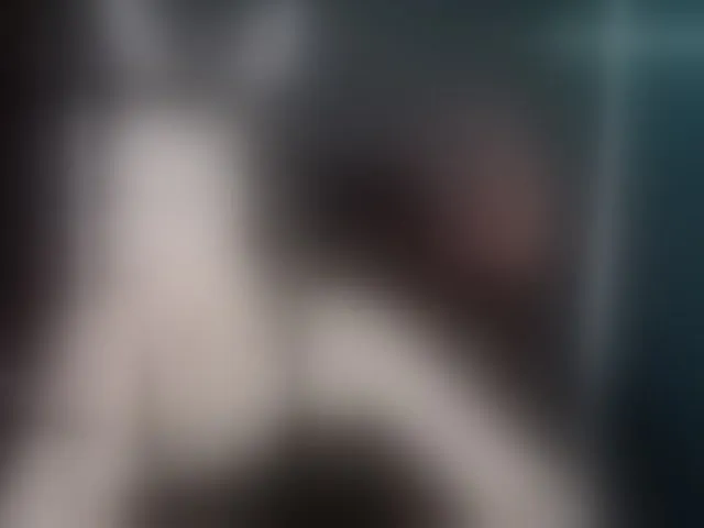 Live sex webcam photo for your-small-bunny #293908752