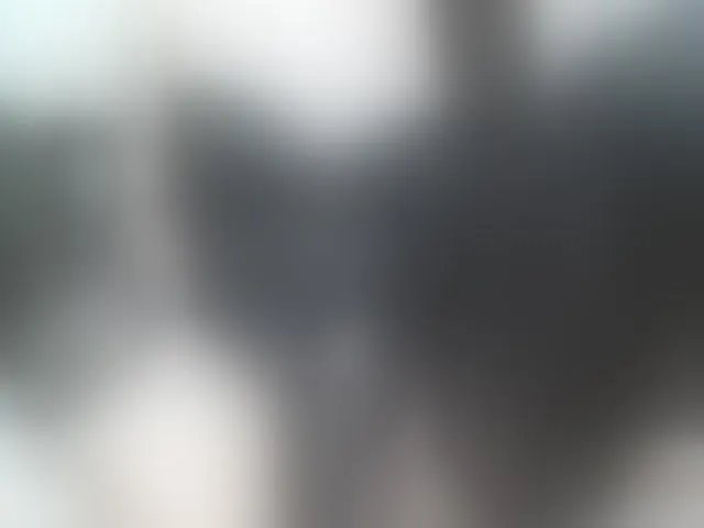 Live sex webcam photo for yourbabytrans #293829558