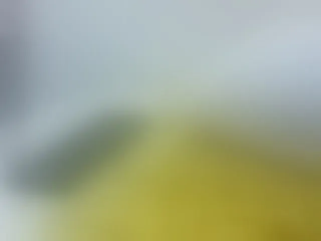 Live sex webcam photo for yourcuteneighbourr #292374466