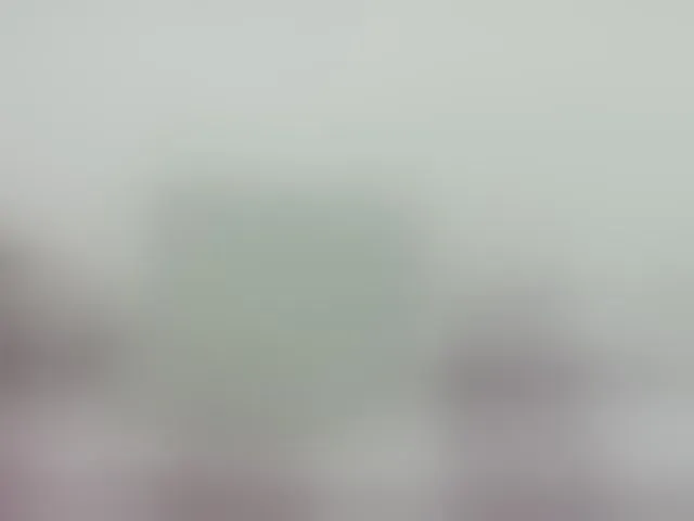 Live sex webcam photo for yourkrissnew1 #292655418