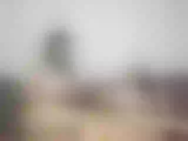 Live sex webcam photo for yoursweettreats #292117126
