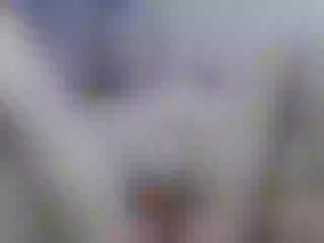 Live sex webcam photo for yupichu #288056045