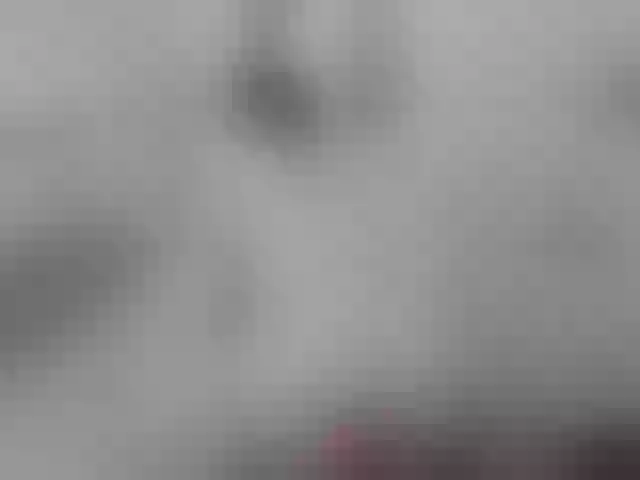 Live sex webcam photo for yupichu #288056075
