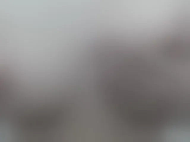 Live sex webcam photo for yupichu #288056109