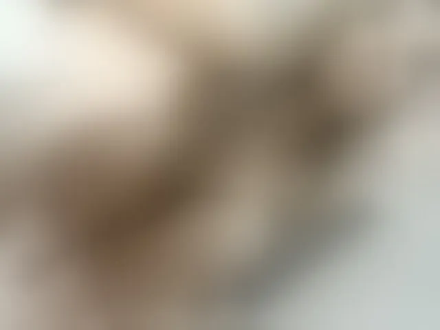 Live sex webcam photo for yuukenzi #288056307