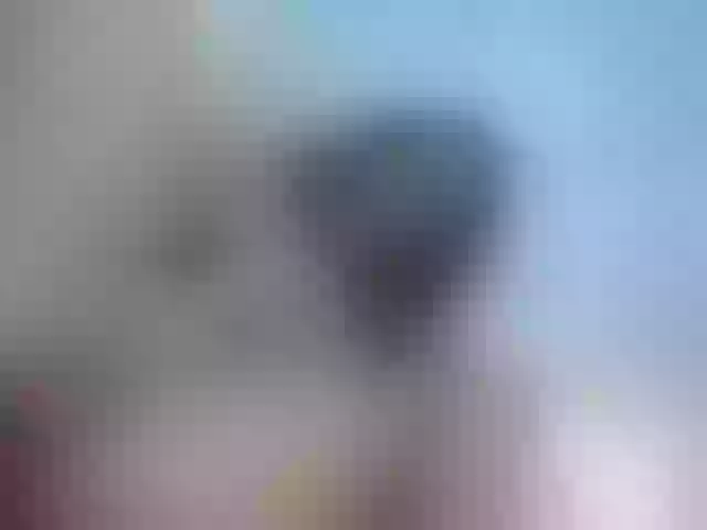 Live sex webcam photo for yuukenzi #288056422