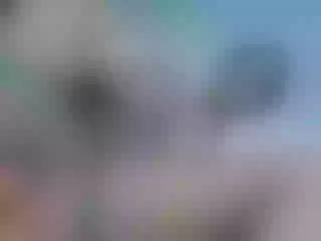 Live sex webcam photo for yuukenzi #288056431