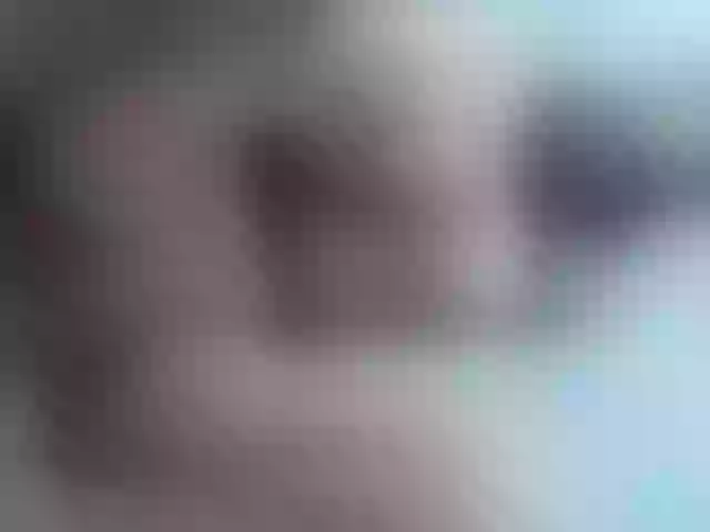 Live sex webcam photo for yuukenzi #288056433