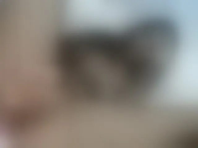 Live sex webcam photo for yuukenzi #288056449