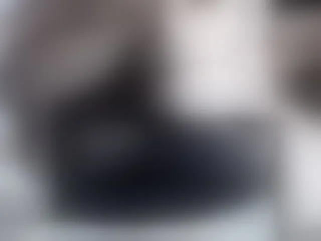 Live sex webcam photo for yuukenzi #288056463