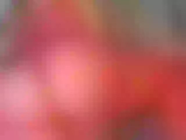 Live sex webcam photo for zhamira21 #291395472