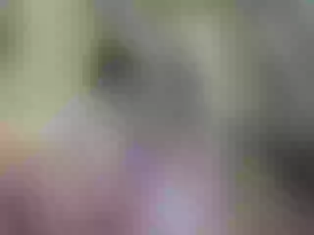 Live sex webcam photo for zhamira21 #291538836