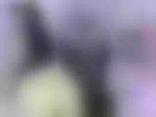 Live sex webcam photo for zoe-sullivan #290930090