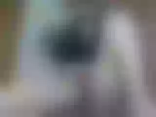 Live sex webcam photo for ZoeBennett #184815936
