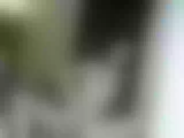Live sex webcam photo for zoepretty21 #291430334