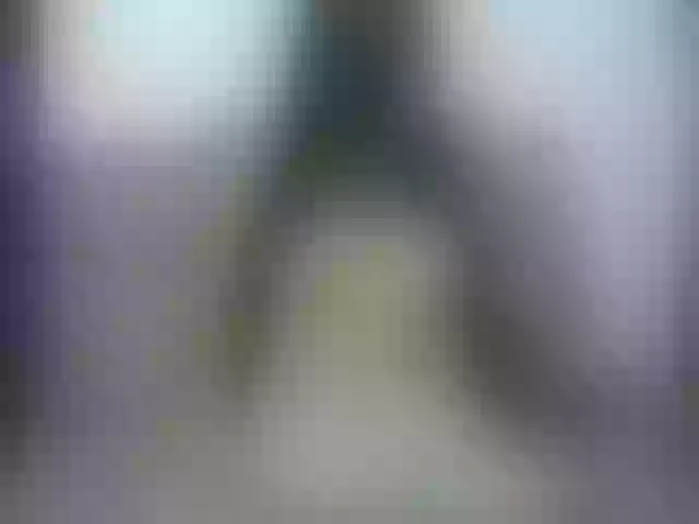 Live sex webcam photo for zoeyrogers #277982224