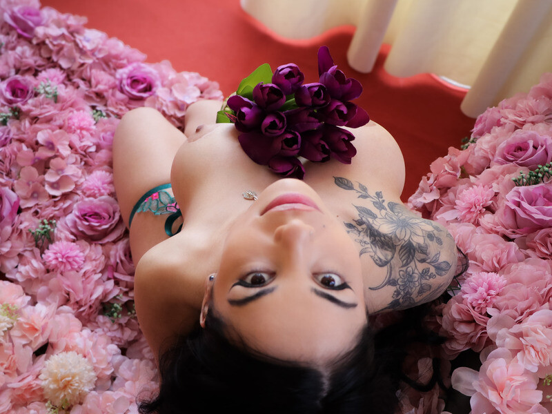 Live sex webcam photo for EvaWilliamsX #6974809
