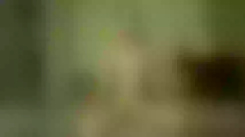 Live sex webcam photo for _dana_doe_