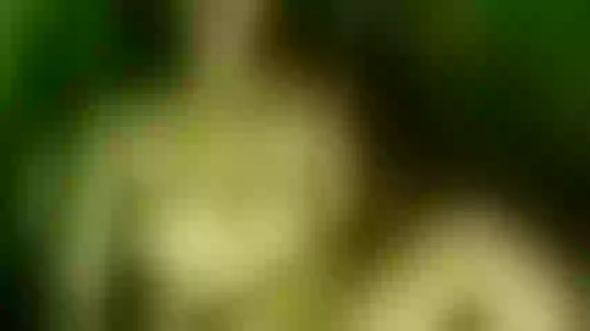 Live sex webcam photo for always_wet_since1997
