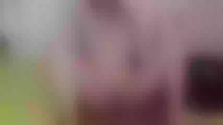 Live sex webcam photo for amalett