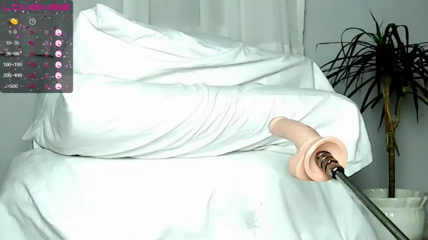 Live sex webcam photo for ava_bratz