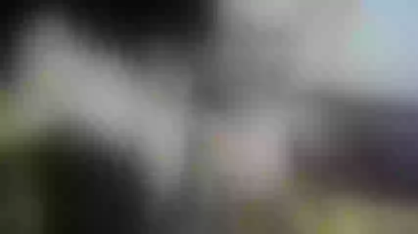 Live sex webcam photo for briyithgonza