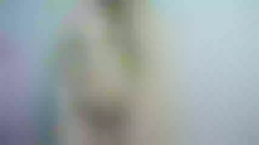 Live sex webcam photo for curvymommy_