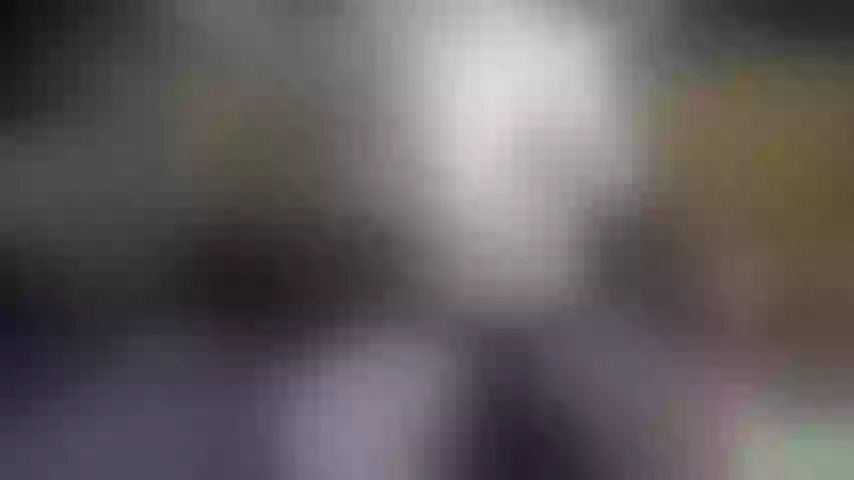 Live sex webcam photo for eralendra