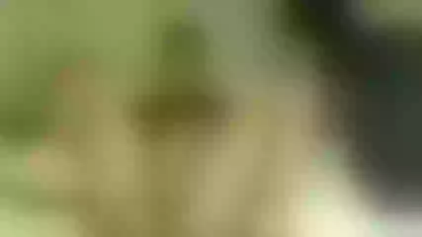 Live sex webcam photo for freakyteaser1990