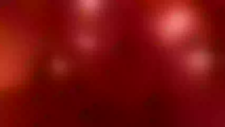 Live sex webcam photo for highhunghorny420