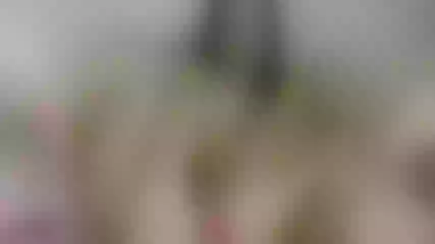 Live sex webcam photo for kaotikmoon