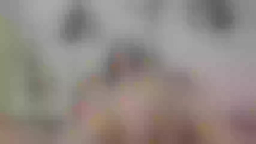 Live sex webcam photo for lauriiewoods