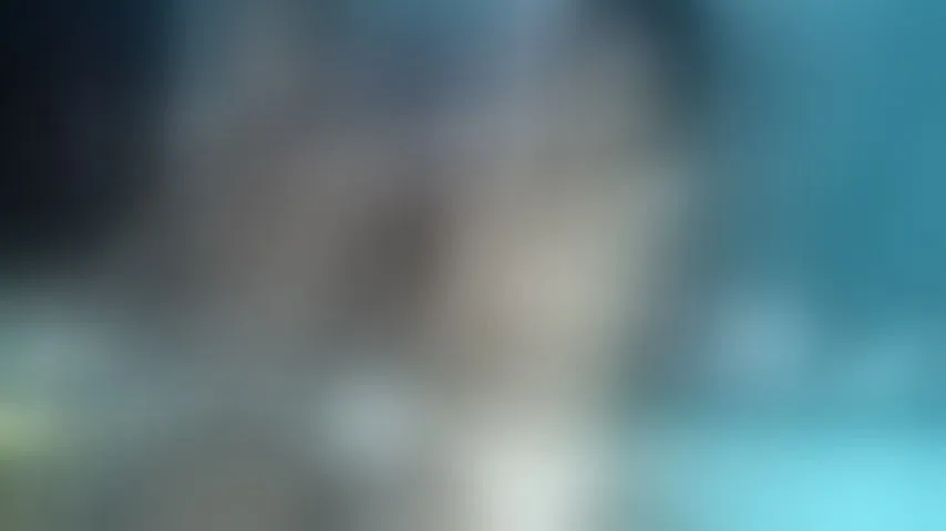 Live sex webcam photo for niche_01