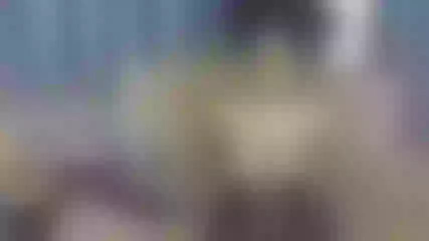 Live sex webcam photo for petite_princes