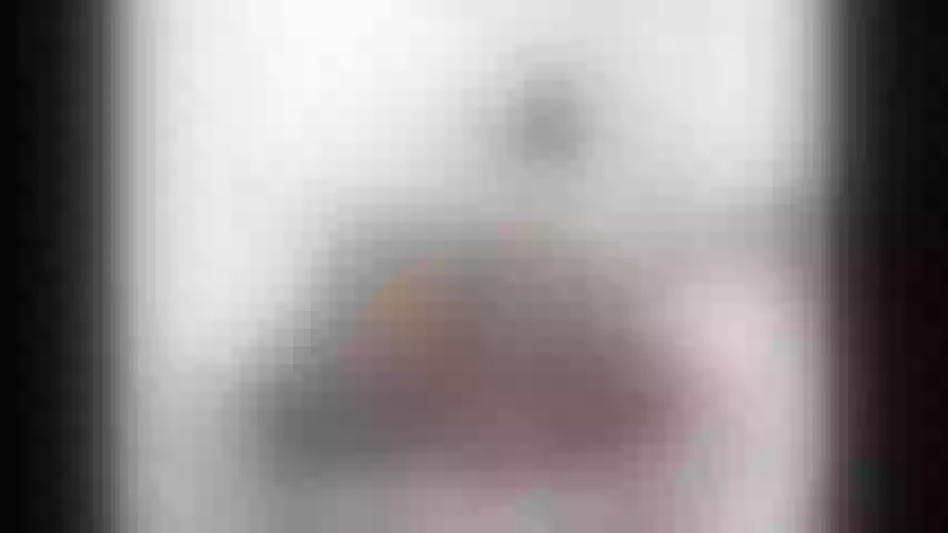 Live sex webcam photo for queenbbee