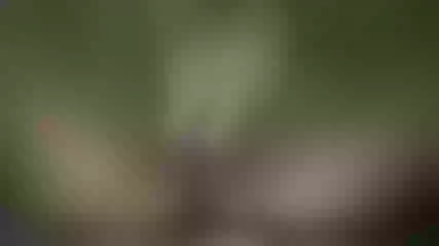 Live sex webcam photo for tatysweet