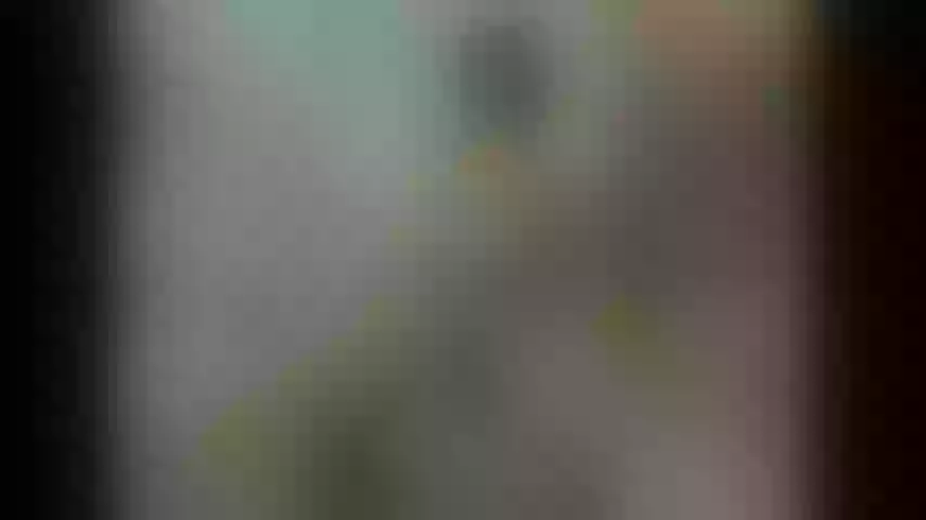 Live sex webcam photo for trapinabottle